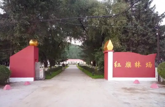 大同红旗林场
