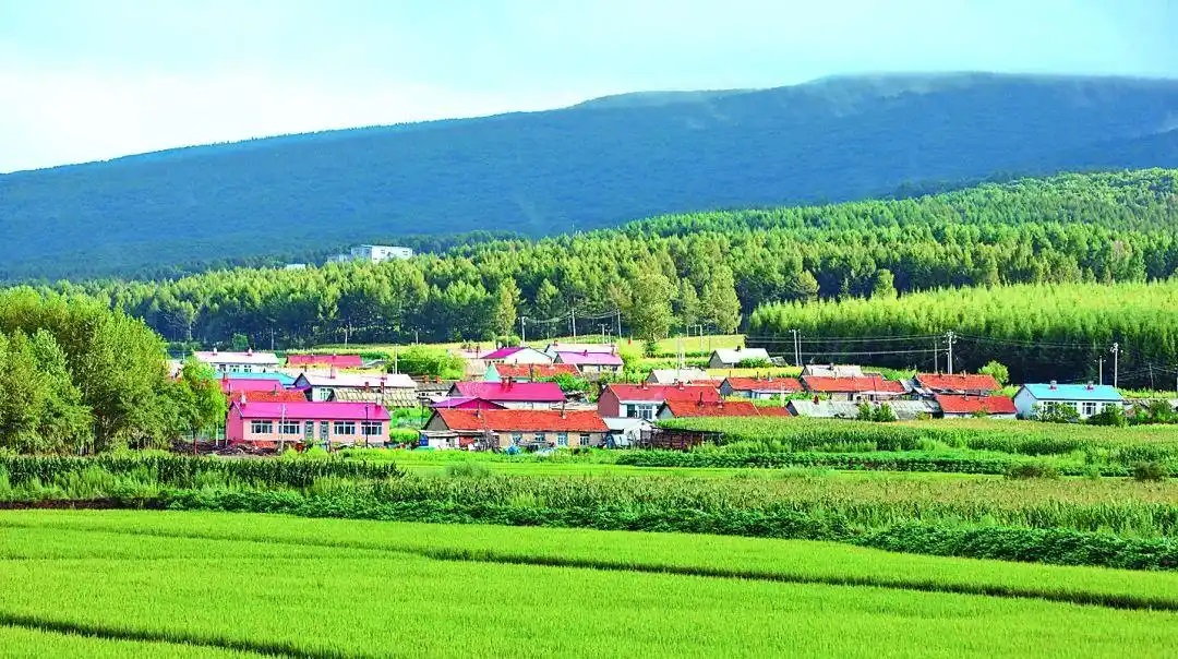 四新山庄