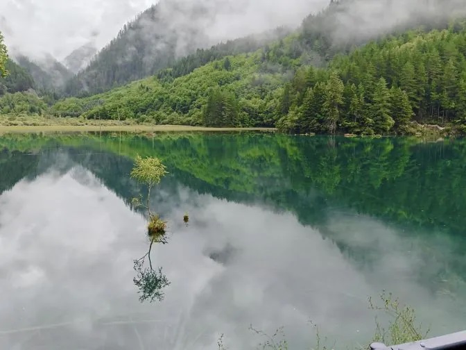 扎如沟