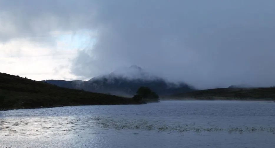 香格里拉高原牧场
