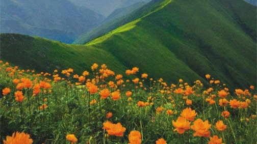 达坂山观景台