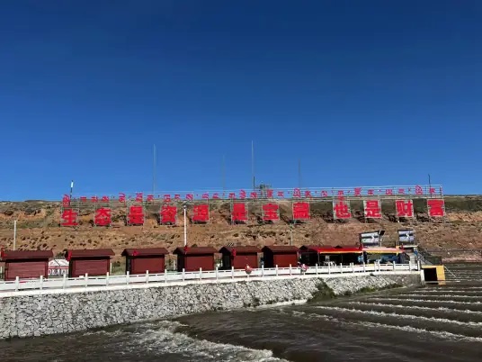 湟鱼洄游