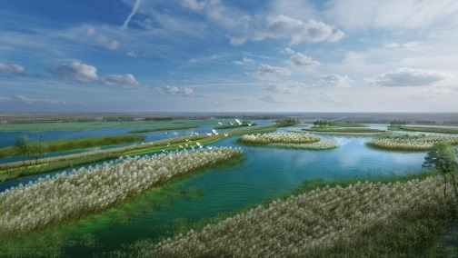 沙湖国家湿地公园