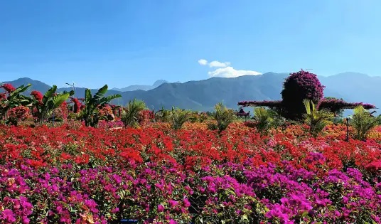 花梨谷文化旅游区