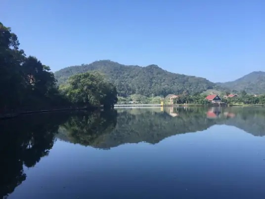 尖峰岭国家森林公园