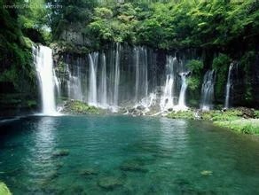 霸王岭自然保护区