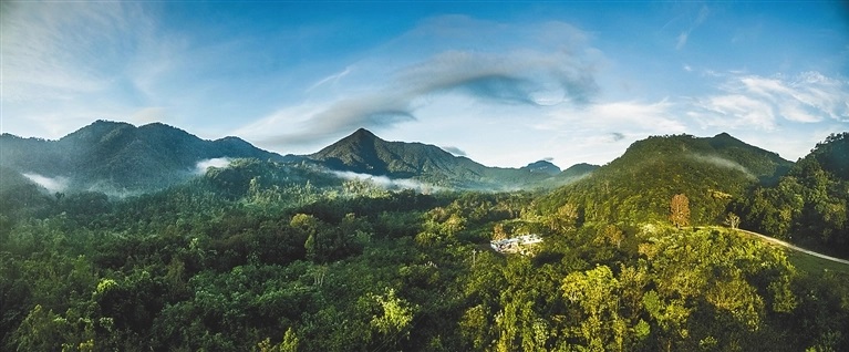 黎母山国家森林公园